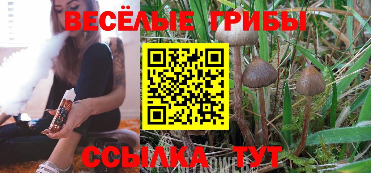 Шуя  Галлюциногенные грибы Magic Shrooms  Псилоцибиновые грибы Magic Shrooms  Вход с VPN 